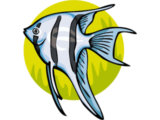 Others fish graphics