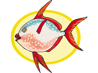 Others fish graphics