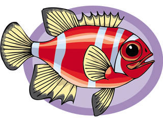 Others fish graphics