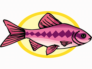 Others fish graphics