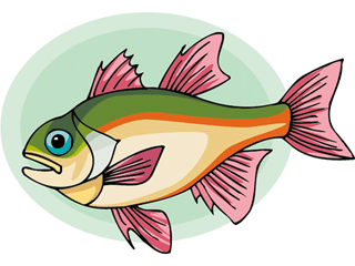 Others fish graphics