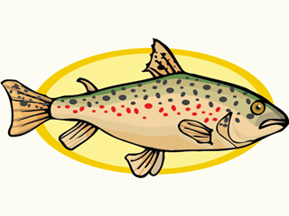 Others fish graphics