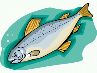 Others fish graphics