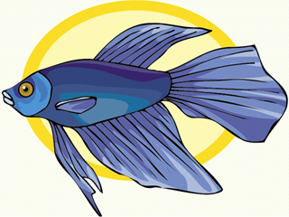 Others fish graphics