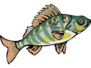 Others fish graphics