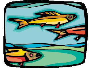 Others fish graphics