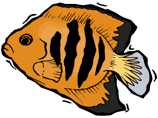 Others fish graphics