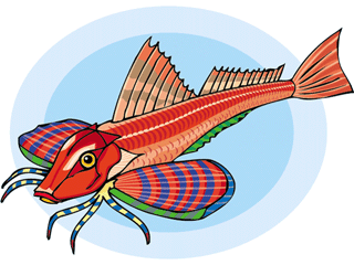 Others fish graphics