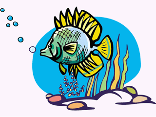 Others fish graphics