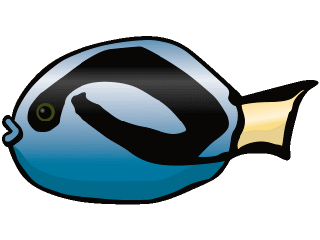 Others fish graphics