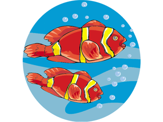 Others fish graphics