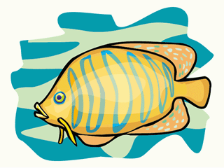 Others fish graphics