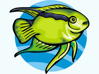 Others fish graphics