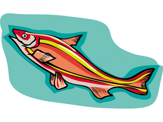 Others fish graphics