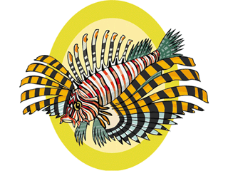 Others fish graphics