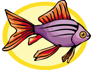 Others fish graphics