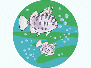 Others fish graphics