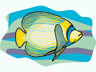 Others fish graphics