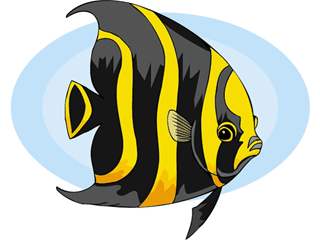 Others fish graphics