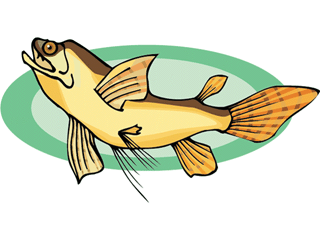 Others fish graphics