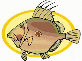 Others fish graphics