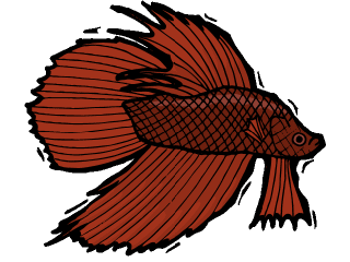 Others fish graphics