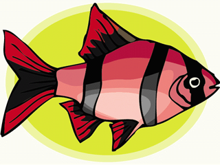 Others fish graphics