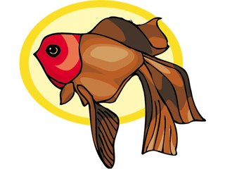 Others fish graphics