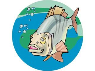 Others fish graphics