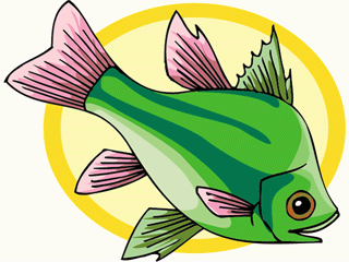 Others fish graphics