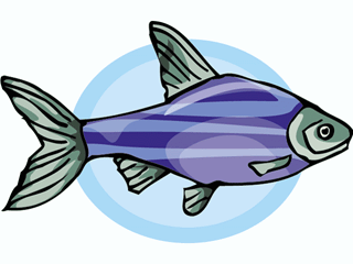 Others fish graphics