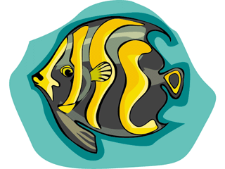 Others fish graphics