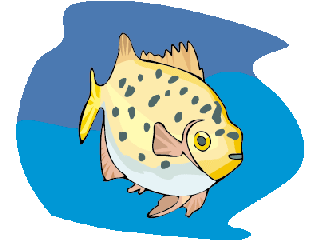 Others fish graphics