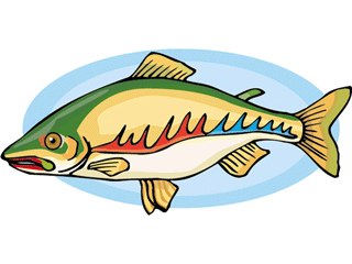 Others fish graphics