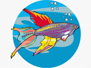 Others fish graphics