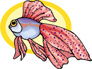 Others fish graphics