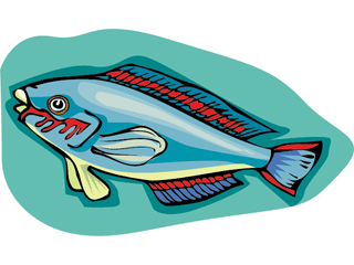 Others fish graphics