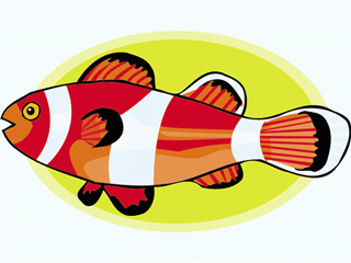 Others fish graphics