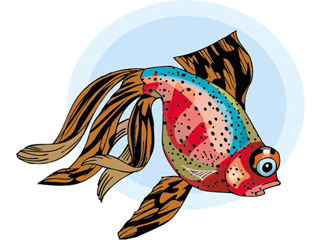 Others fish graphics