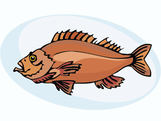 Others fish graphics