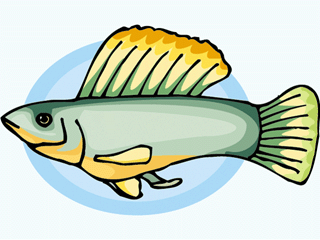 Others fish graphics