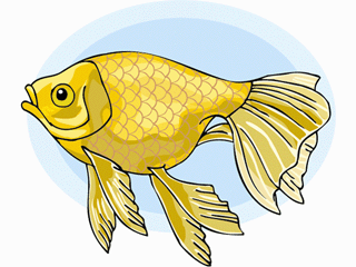 Others fish graphics