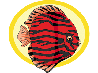 Others fish graphics