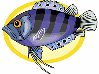 Others fish graphics