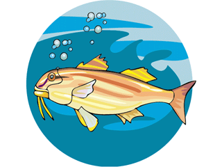 Others fish graphics