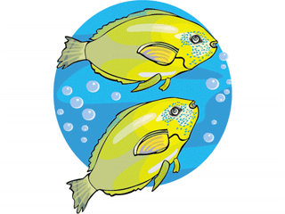 Others fish graphics