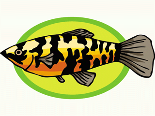 Others fish graphics