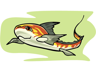 Others fish graphics