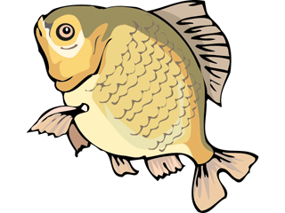 Others fish graphics