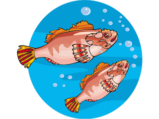 Others fish graphics